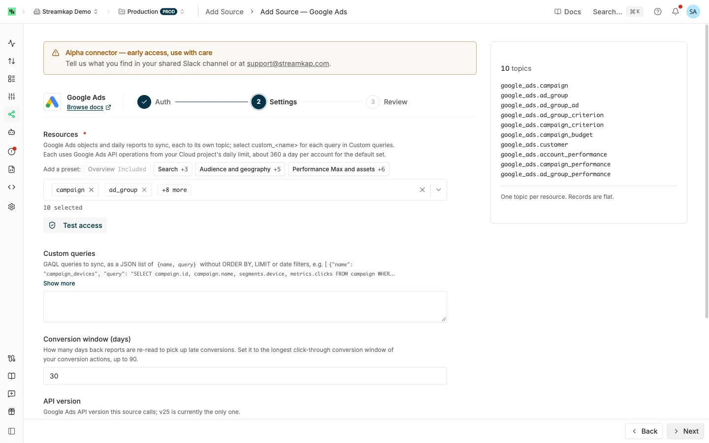 Google Ads source Settings step with the resource presets, the Resources list, Custom queries, Conversion window and API version